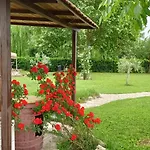 La Vecchia Stalla Bed & Breakfast Narni