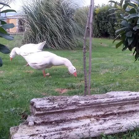 ベッド・アンド・ブレックファスト La Vecchia Stalla