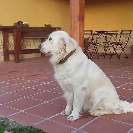 Alojamento de Acomodação e Pequeno-almoço La Vecchia Stalla
