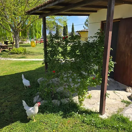 La Vecchia Stalla Bed & Breakfast