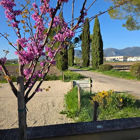 Bed & Breakfast La Vecchia Stalla