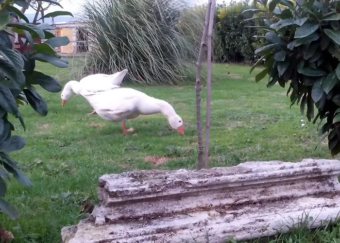 Alojamento de Acomodação e Pequeno-almoço La Vecchia Stalla
