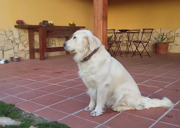Alojamento de Acomodação e Pequeno-almoço La Vecchia Stalla